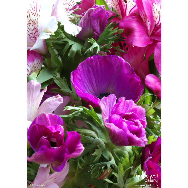 Back of greeting card with pink anemones and lisianthus