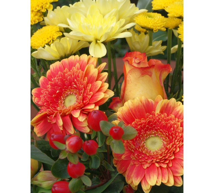 #internationaldayofcharity