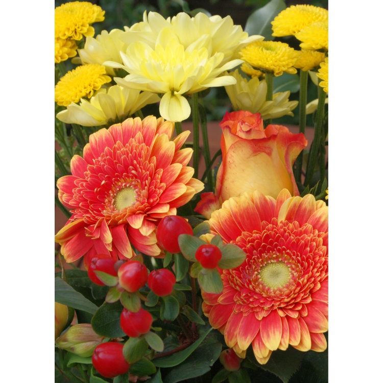 Front of double view greetings card with photo of bunch of yellow and orange red chrysanthemums and red berries