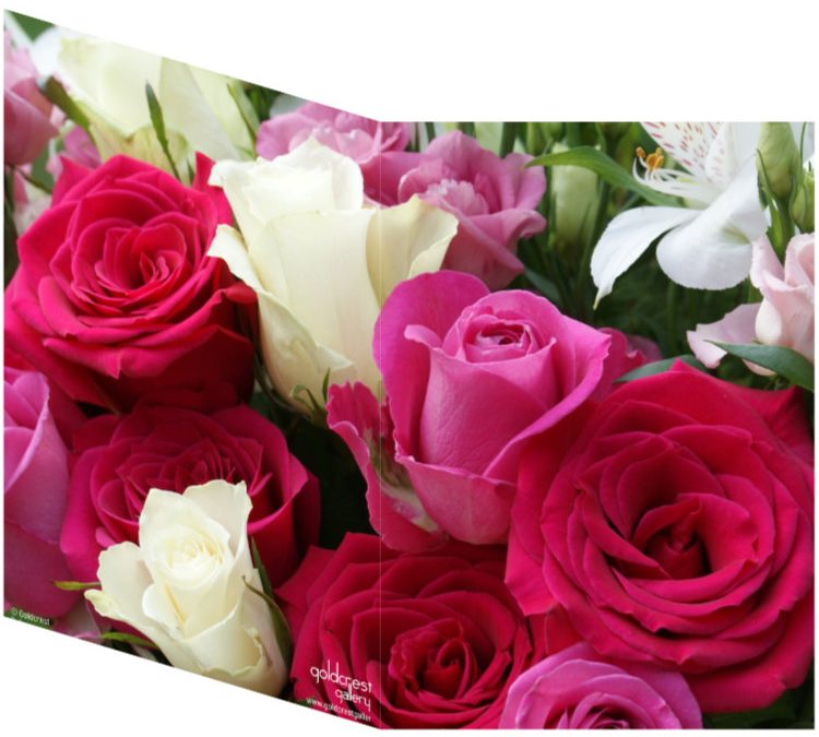 Goldcrest Gallery Charity Cards