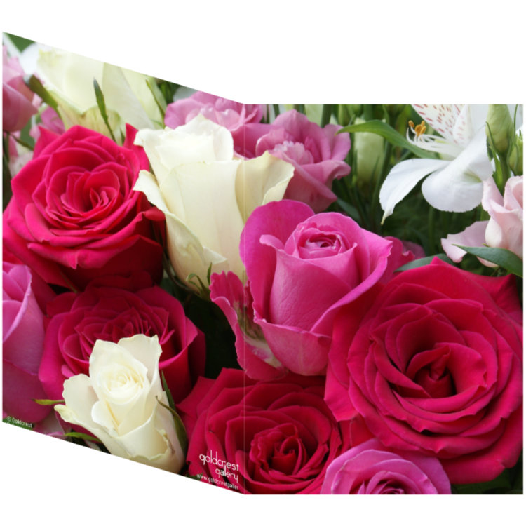 Two sides of a folded greeting card showing a single image of pink and white roses