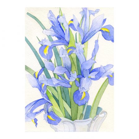 Fine art print with watercolour and gouache painting of purple irises