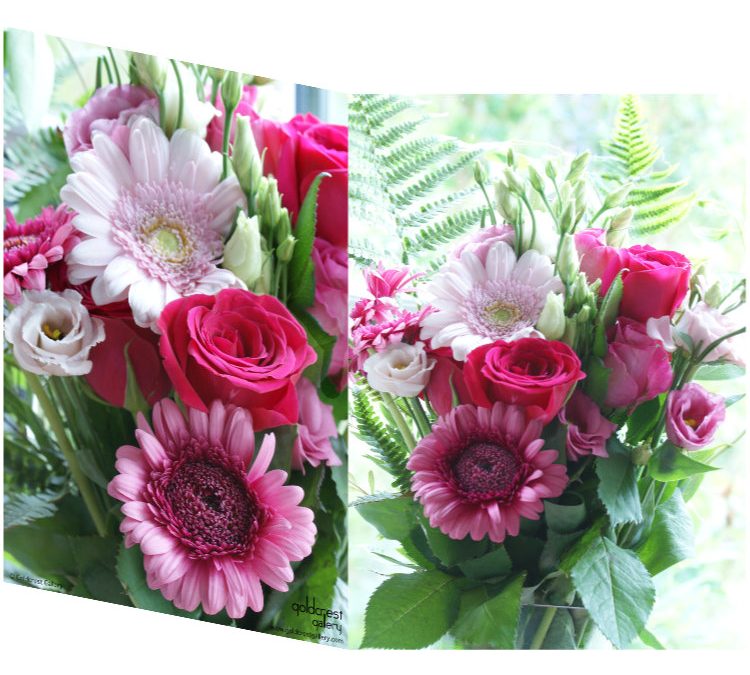 Alexandra Rose Charity