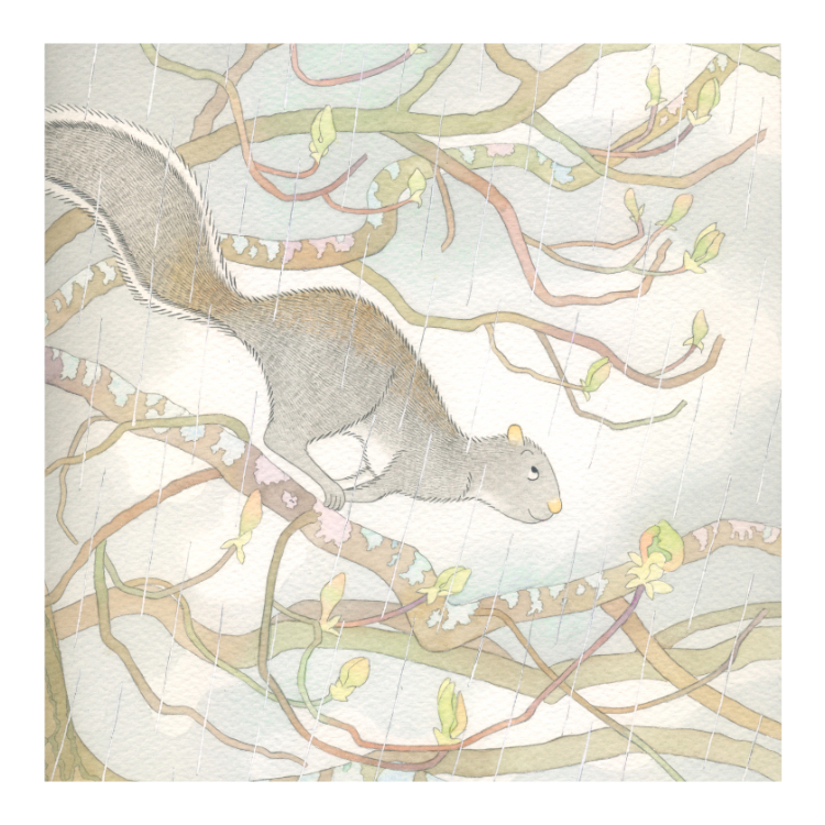 Original watercolour painting of a grey squirrel on bare branches in the rain